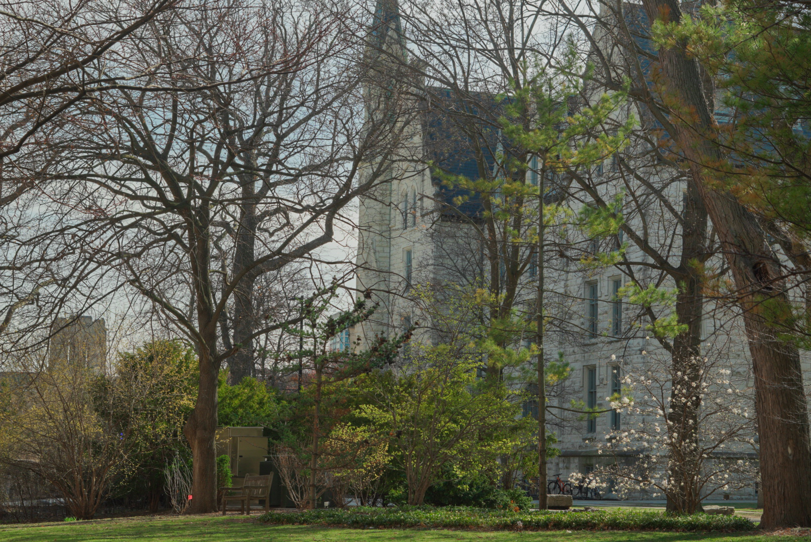 Northwestern University campus with University Hall tower